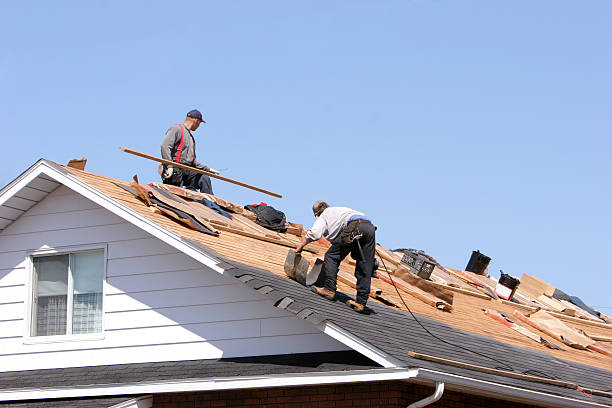 Best Hot Roofs  in Maple Plain, MN