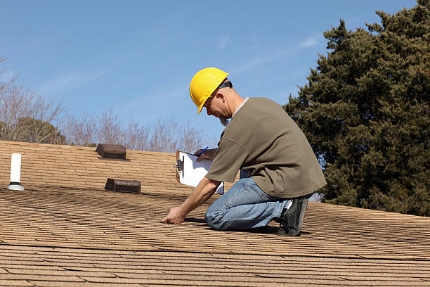 Trusted Maple Plain, MN Roofing services Experts